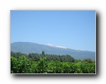 2009-08-06 Ventoux (17) look back